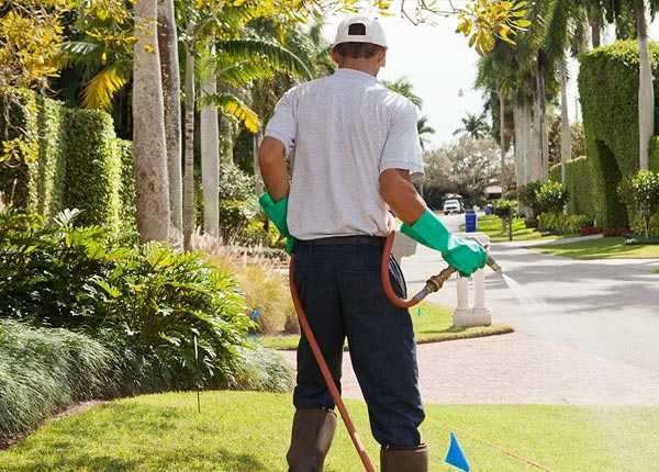About Kenova WV Pest Control